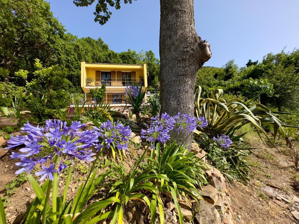 Cefalu Forest Hideout Экстерьер фото